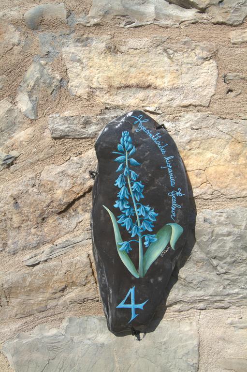 Appartamenti Chiarina Dolcedo Rom bilde